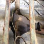 Cforcar Facel Vega Restoration 1 301